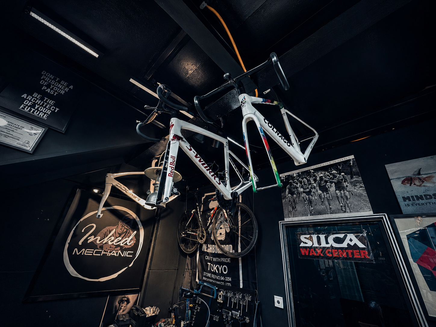 Road bicycle close up